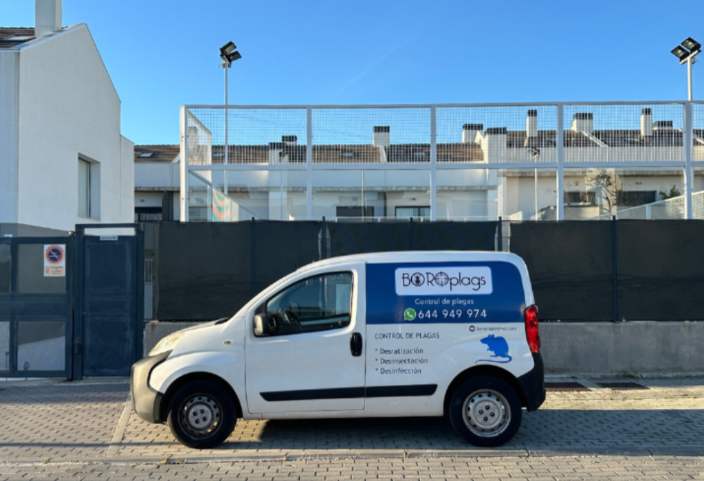 Boro Plagas: Expertos en Control de Plagas en Madrid